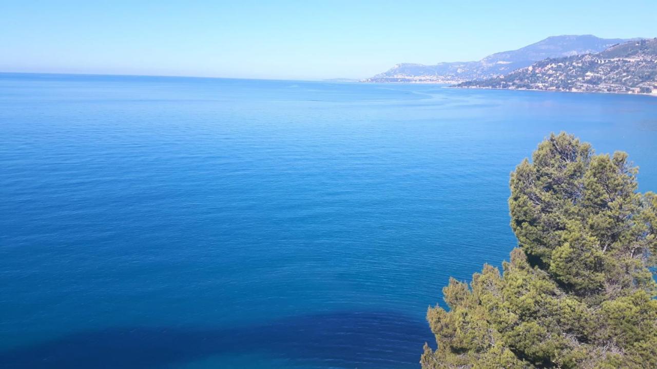 La Casa Del Podere Castellaro (Liguria)